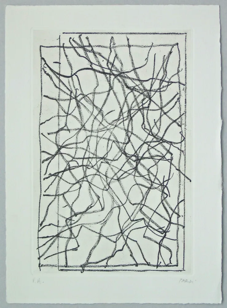 Incisione Pardi - Composizione