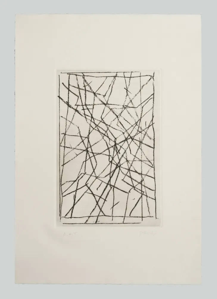 Incisione Pardi - Tiranti