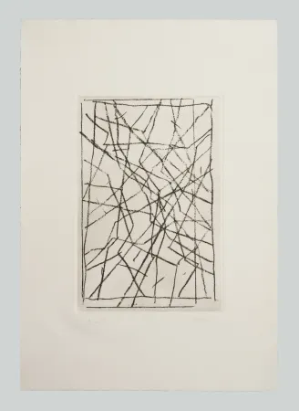 Incisione Pardi - Tiranti