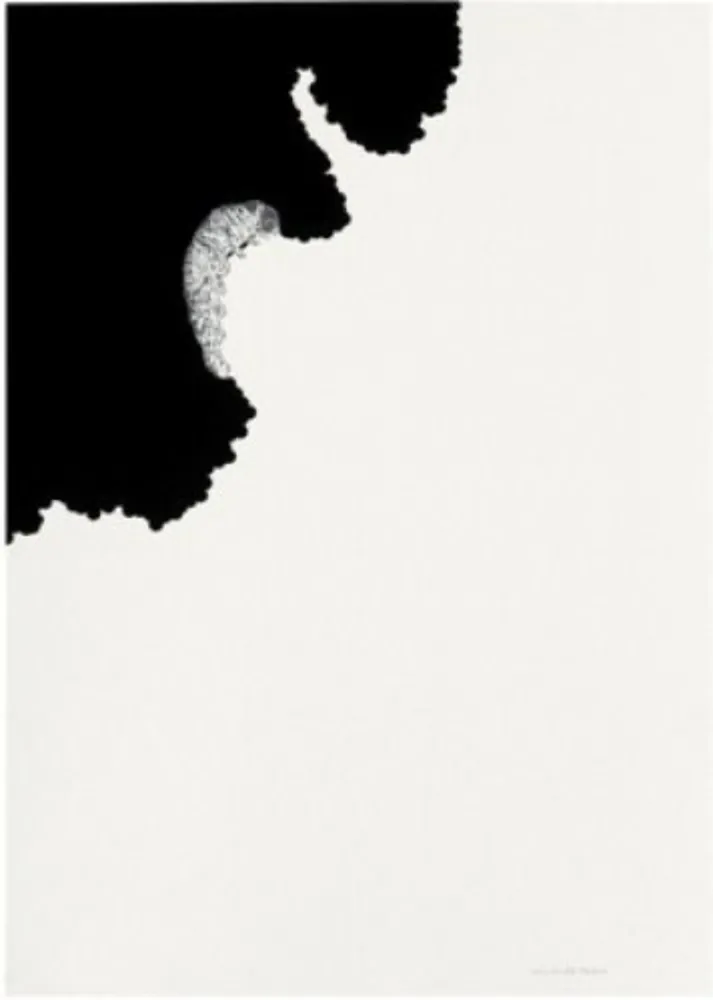 Litografia Paris - Oruga