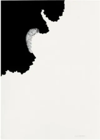 Litografia Paris - Oruga