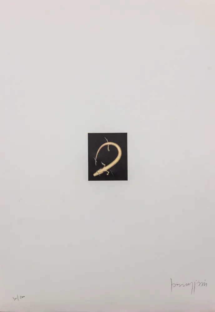 Litografia Parmiggiani - SENZA TITOLO