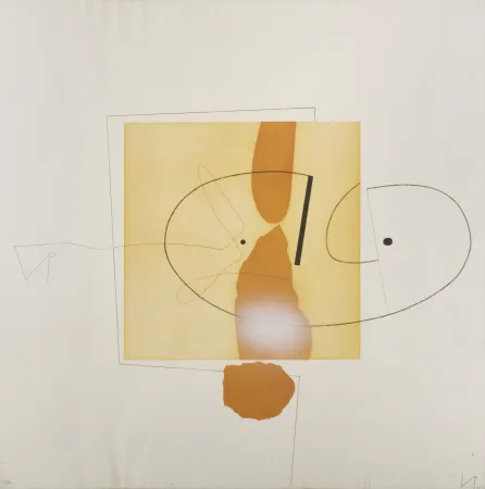 Incisione Pasmore - Victor Pasmore (1908-1998) – The owl of Minerva – Aquatint etching on paper – 1978