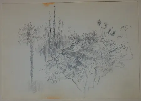 Non Tecnico Pastor - Etude