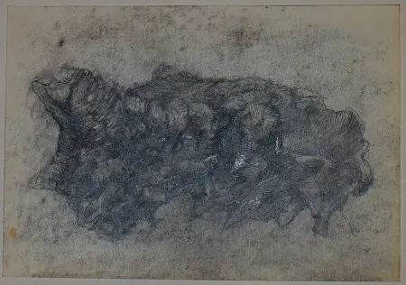 Non Tecnico Pastor - Etude