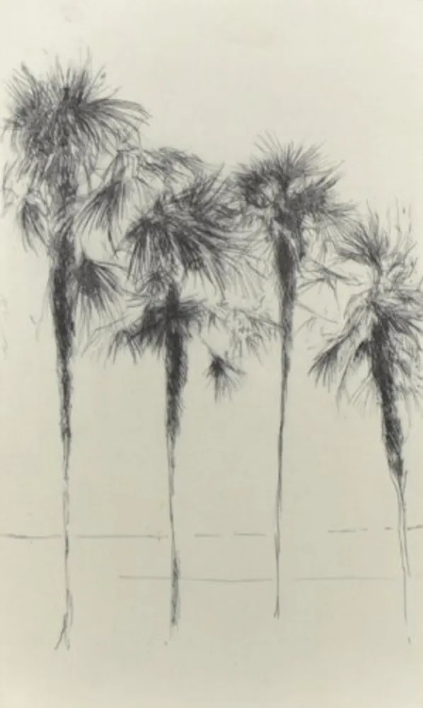 Multiplo Paul P - Palmeres