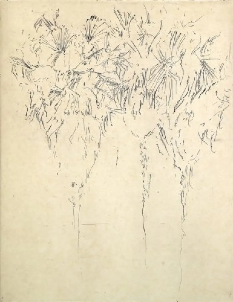 Incisione Paul P - Tres palmeres