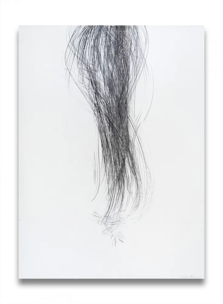 Non Tecnico Peerna - Spill (ref 857)