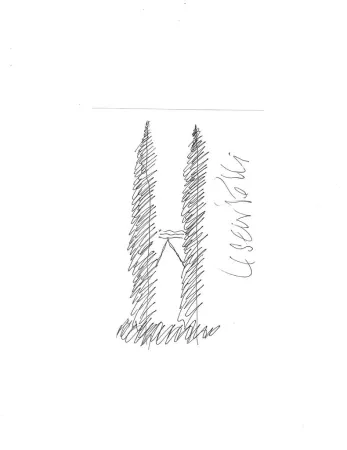 Non Tecnico Pelli - Petronas Towers