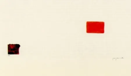 Litografia Perejaume - El bosc a casa-3