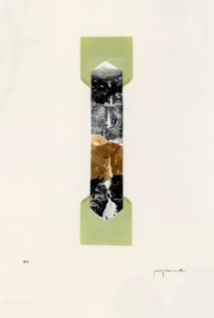 Litografia Perejaume - El bosc a casa-4