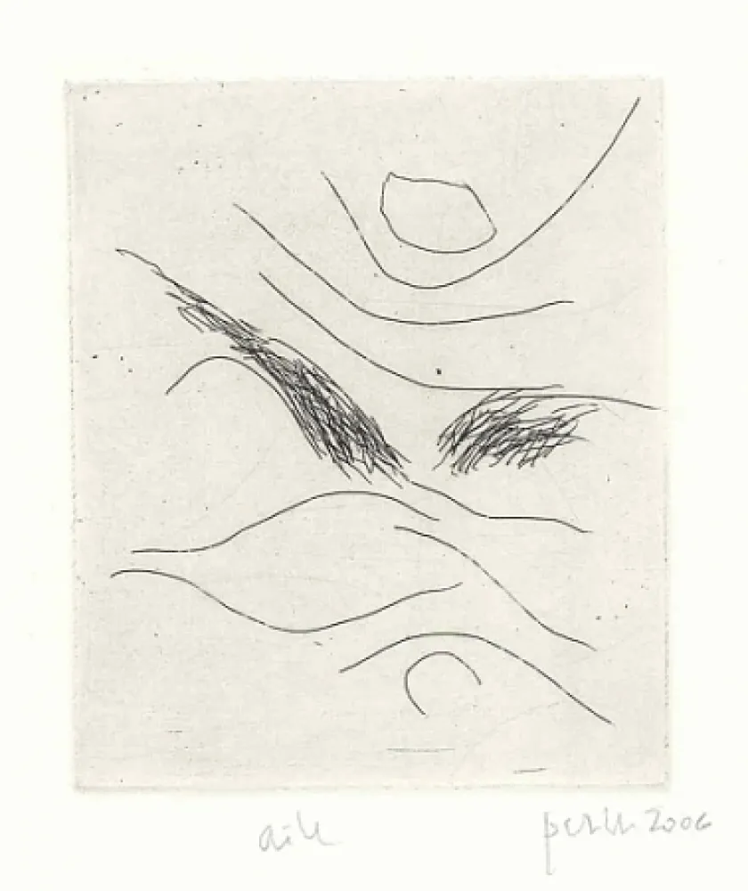 Libro Illustrato Perilli - Dal diario di Max