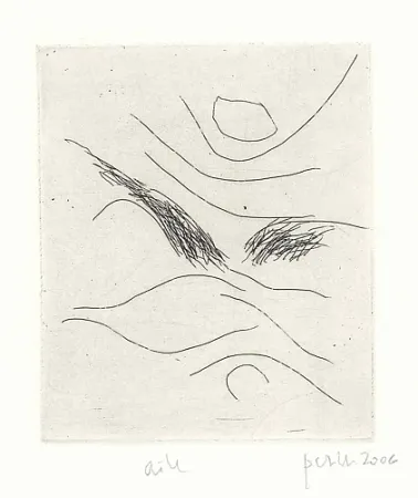 Libro Illustrato Perilli - Dal diario di Max