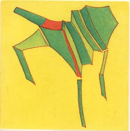 Libro Illustrato Perilli - Ebbrezza di placamenti