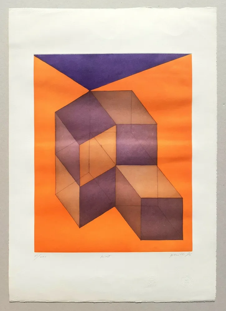 Acquatinta Perilli - Hint