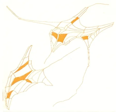 Libro Illustrato Perilli - Phrases