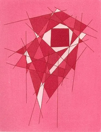 Libro Illustrato Perilli - Stoikheia