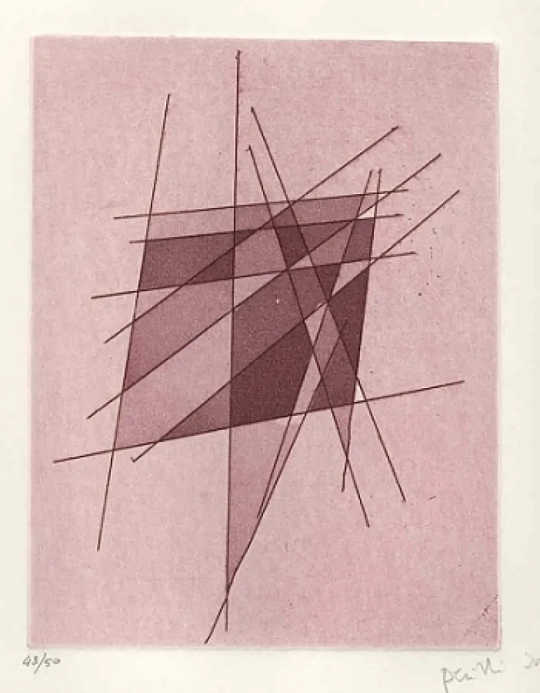 Libro Illustrato Perilli - Sylvatica