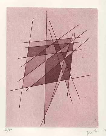 Libro Illustrato Perilli - Sylvatica