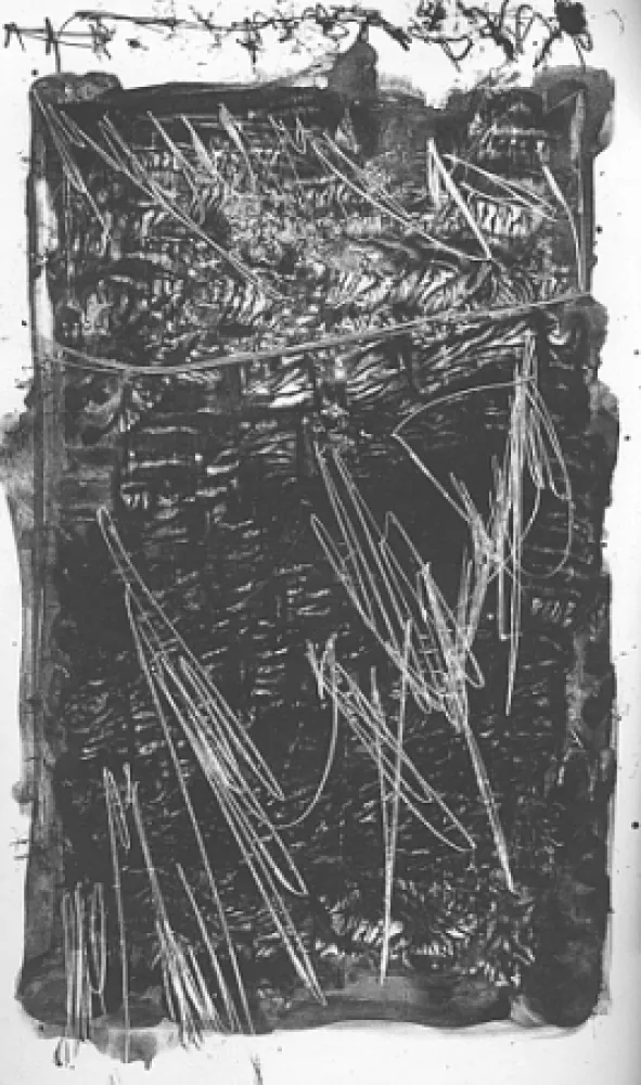 Libro Illustrato Perilli - Theatrum Sanitatis