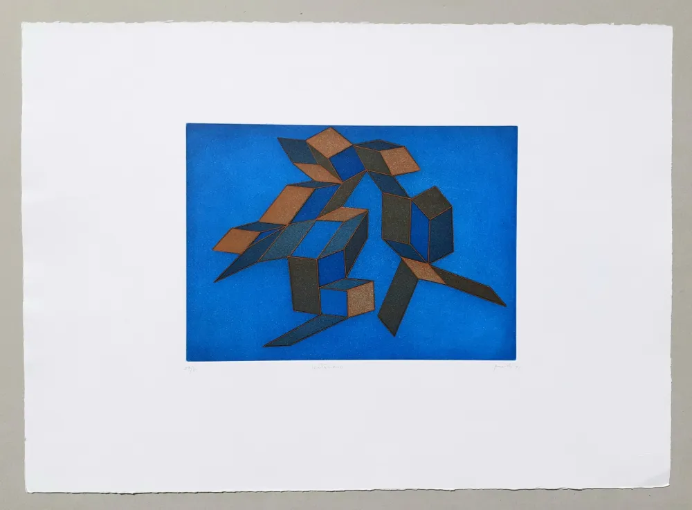 Acquatinta Perilli - Venturiana