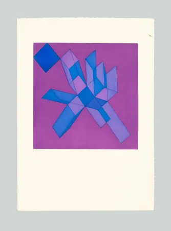 Acquaforte E Acquatinta Perilli - Viodra