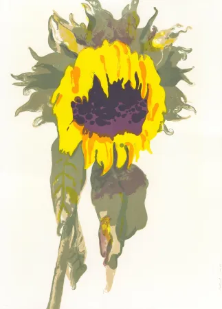 Litografia Pétrovitch - Soleil