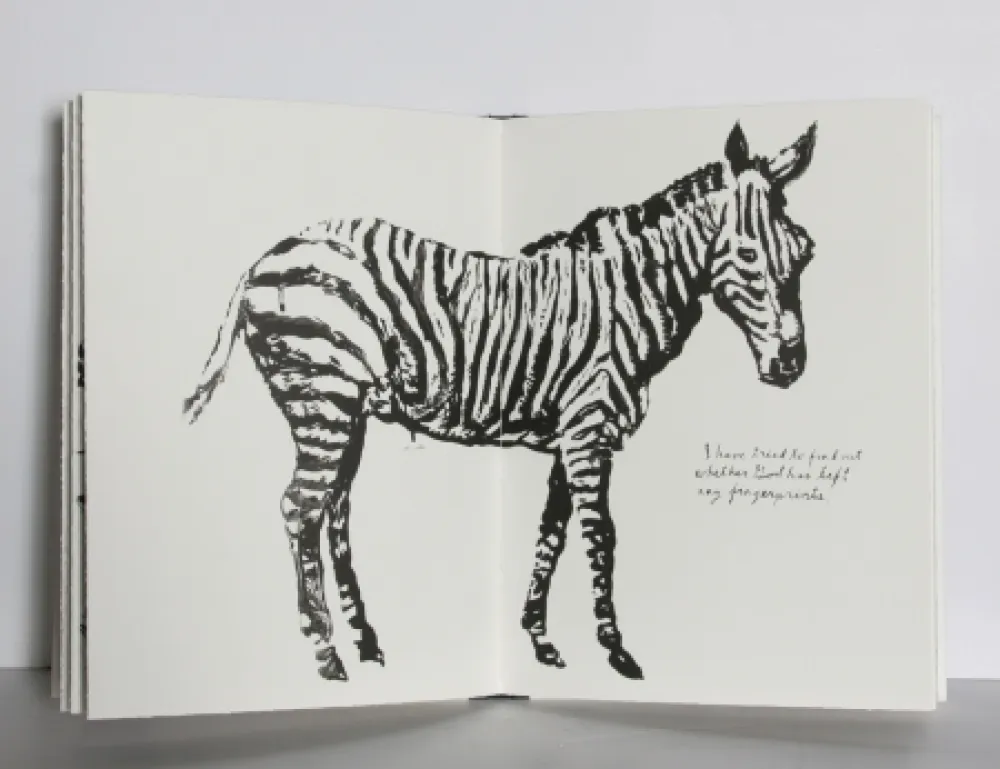 Libro Illustrato Pettibon - Plots on Loan