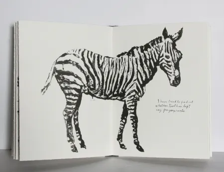 Libro Illustrato Pettibon - Plots on Loan