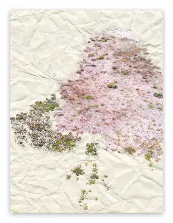 Fotografie Pezzot - I. Anthropological Purity