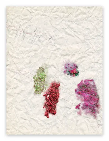 Fotografie Pezzot - IV. Nice