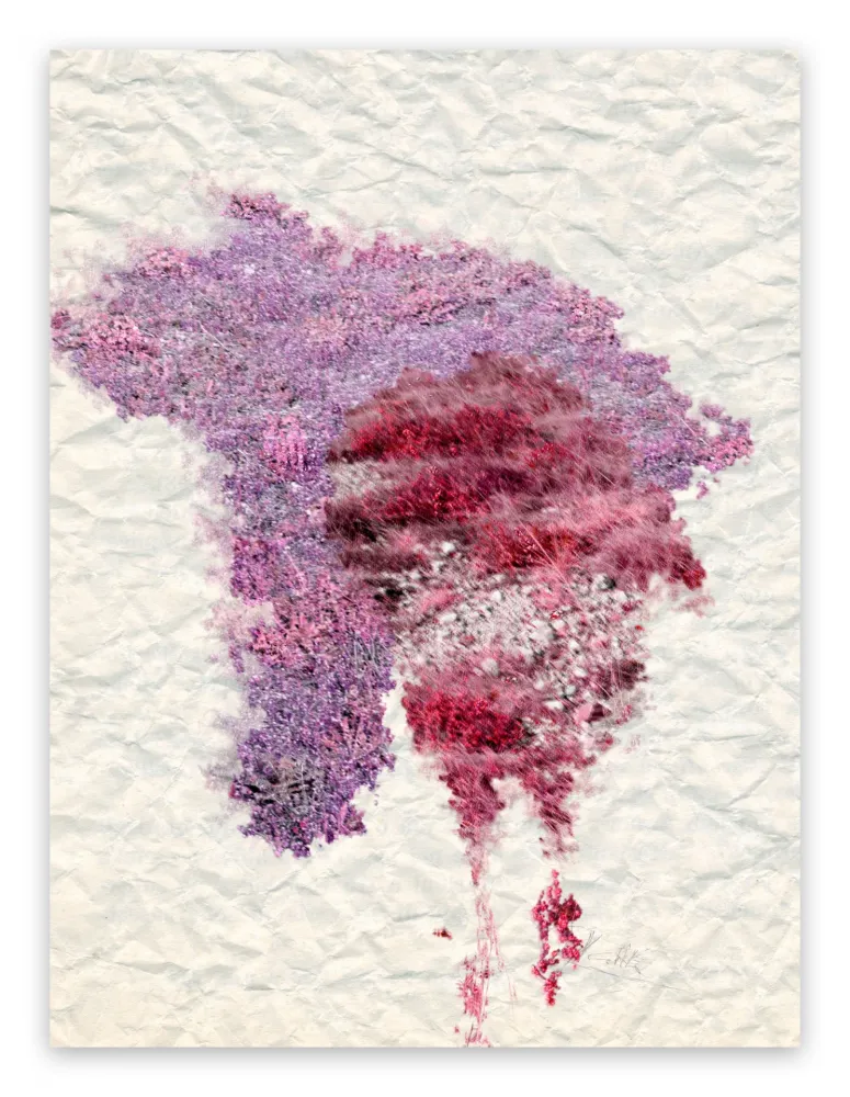 Fotografie Pezzot - IX: Genesi