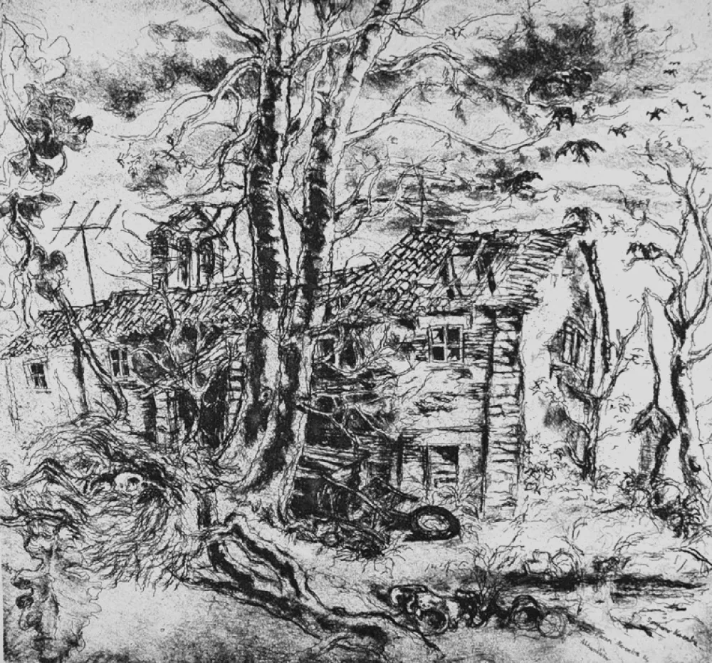 Acquaforte Piacesi - Abbandono