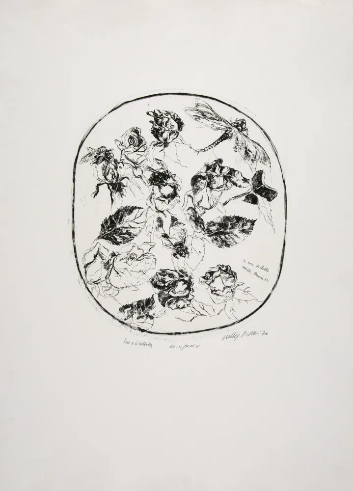 Acquaforte Piacesi - Rose e libellula