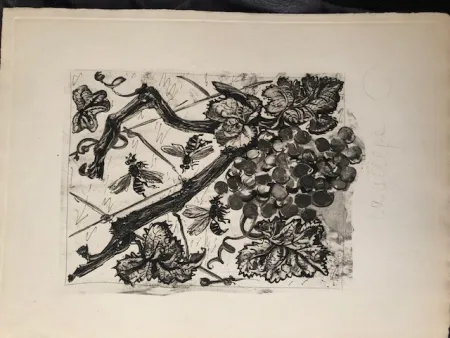 Acquatinta Picasso - La guêpe