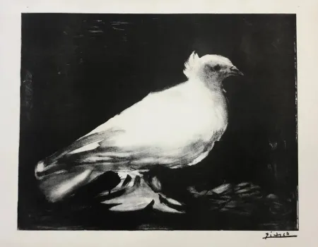 Litografia Picasso - La petite Colombe