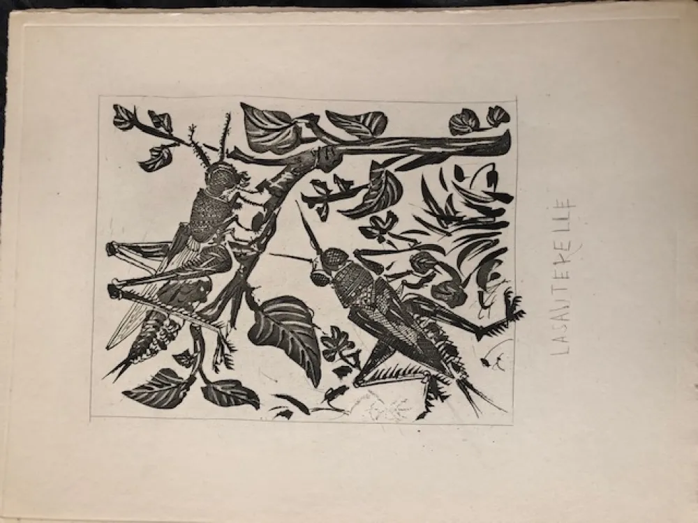 Acquatinta Picasso - La sauterelle