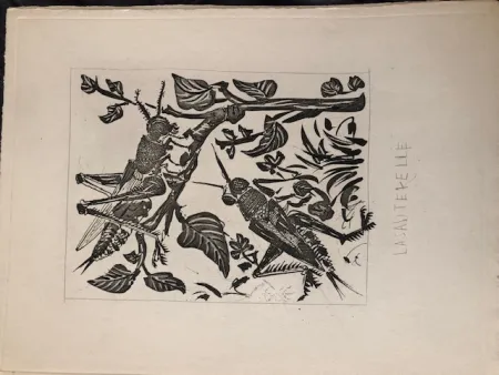 Acquatinta Picasso - La sauterelle