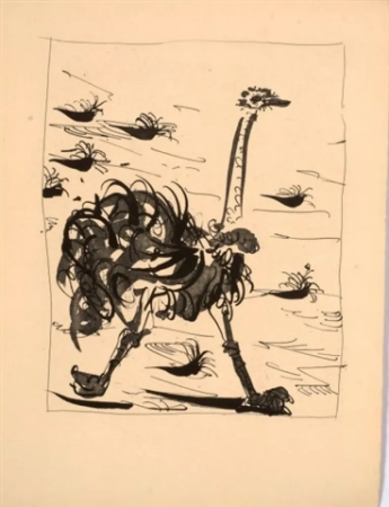 Acquatinta Picasso - L'autruche
