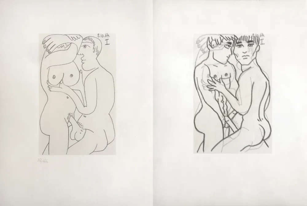 Non Tecnico Picasso - Picasso and Me 