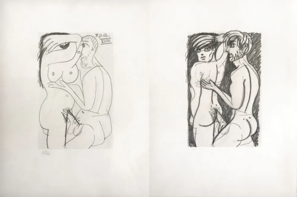 Non Tecnico Picasso - Picasso and Me 