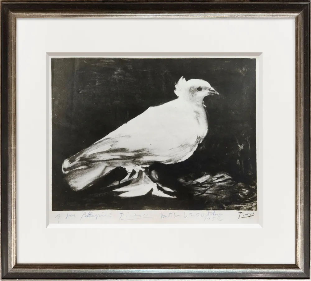 Fotografie Picasso - The Dove of Peace