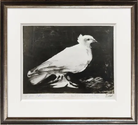 Fotografie Picasso - The Dove of Peace