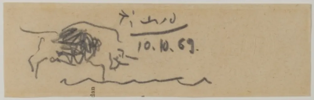 Non Tecnico Picasso - Toro (Bull)