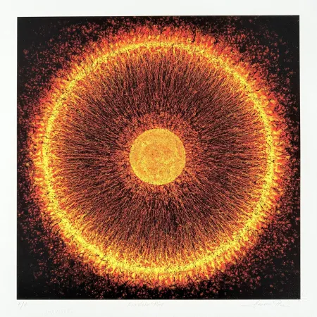 Grafica Numerica Picz - Einstein Ring