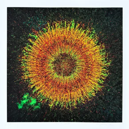 Grafica Numerica Picz - Phoenix Cluster