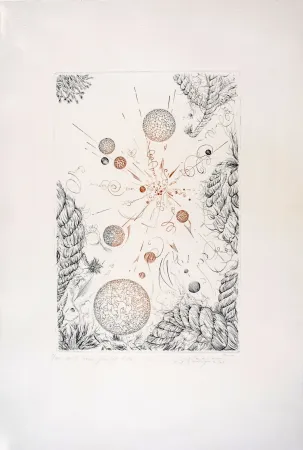 Incisione Pierron - Mille voix pour un Echo