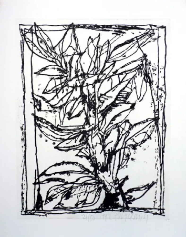 Acquatinta Pincemin - Sans titre