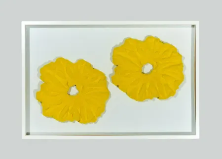 Non Tecnico Pinelli - Pittura G.