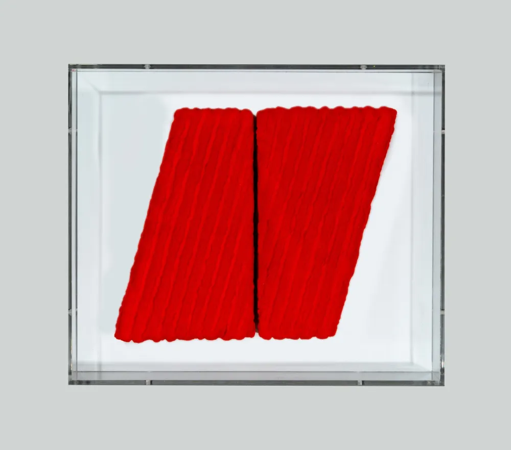 Non Tecnico Pinelli - Pittura R.